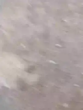 Snapshot of dheck2020 chatting on January 7, 2025, 11:45 pm dheck2020 online show from January 7, 2025, 11:45 pm