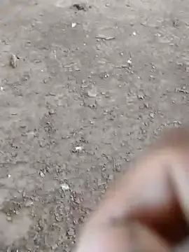 Snapshot of dheck2020 chatting on January 7, 2025, 6:45 pm dheck2020 online show from January 7, 2025, 6:45 pm