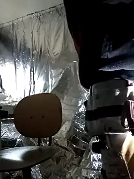 rexflexxx online show from November 9, 2025, 11:47 am