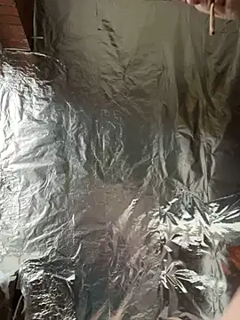 rexflexxx online show from March 7, 2025, 4:44 pm