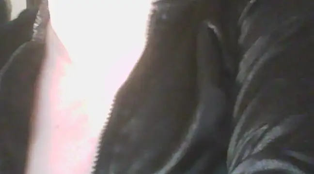 Snapshot of deluxpussy chatting on March 19, 2025, 6:23 pm deluxpussy online show from March 19, 2025, 6:23 pm