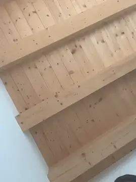 Snapshot of Fellix chatting on February 24, 2025, 11:43 am Fellix online show from February 24, 2025, 11:43 am