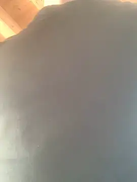 Snapshot of Fellix chatting on February 17, 2025, 11:34 am Fellix online show from February 17, 2025, 11:34 am