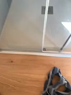 Snapshot of Fellix chatting on March 4, 2025, 2:53 pm Fellix online show from March 4, 2025, 2:53 pm