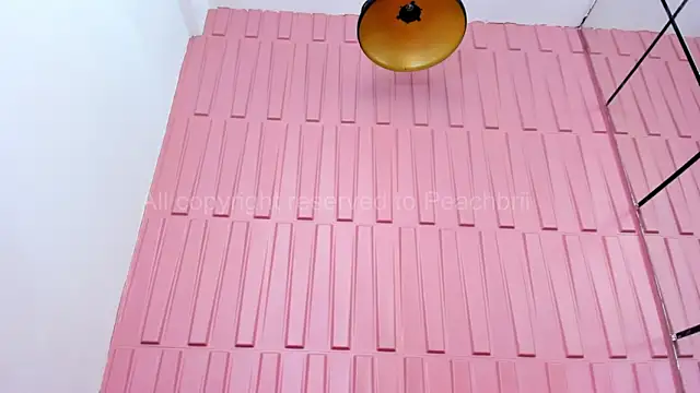 Briana Wells  online show from October 6, 2025, 1:34 pm