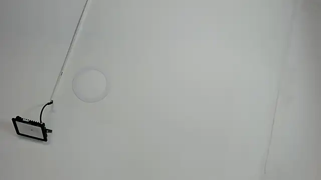 CeliWoods online show from October 12, 2025, 11:22 am