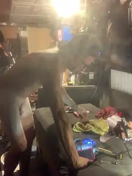 Snapshot of Likewise chatting on February 4, 2026, 4:46 pm Likewise online show from February 4, 2026, 4:46 pm