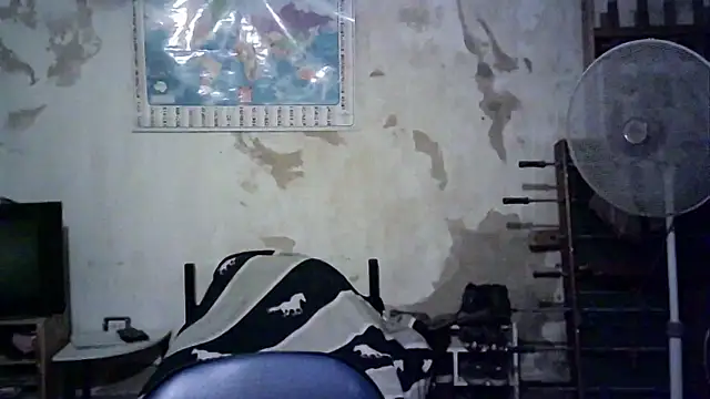 Snapshot of Emv2 chatting on November 26, 2025, 4:56 am Emv2 online show from November 26, 2025, 4:56 am