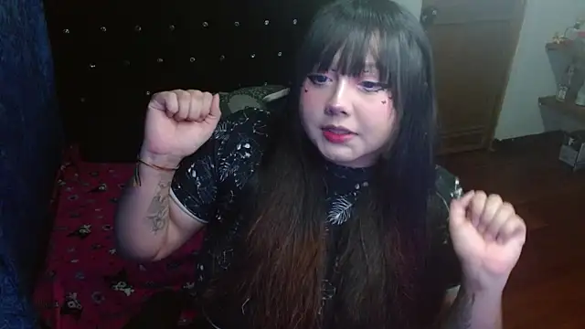 litlle cat online show from October 11, 2025, 5:30 am