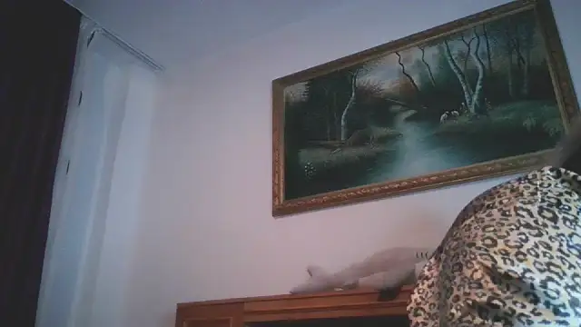 nicholle online show from December 30, 2024, 10:55 pm