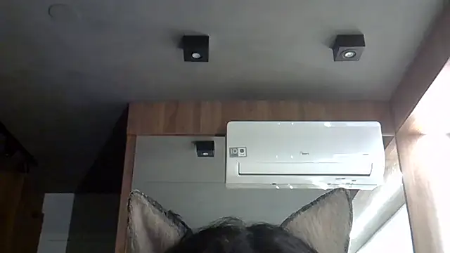 Skinny-Kitten online show from October 20, 2025, 1:40 am