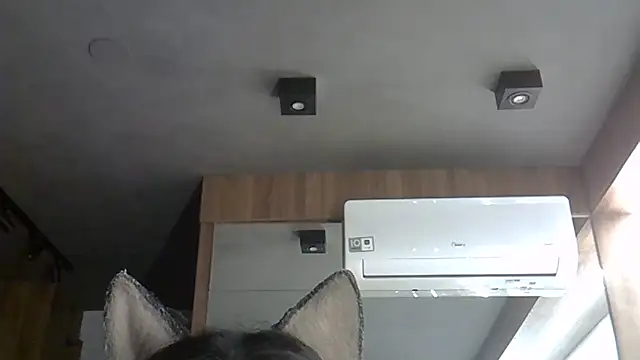 Skinny-Kitten online show from November 13, 2025, 2:26 am