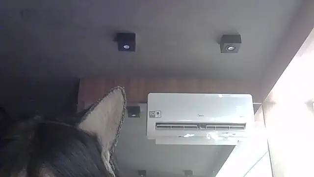 Skinny-Kitten online show from February 3, 2026, 6:35 pm