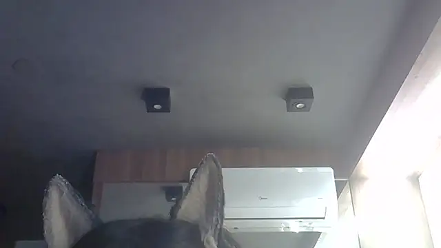 Skinny-Kitten online show from February 28, 2026, 2:44 am