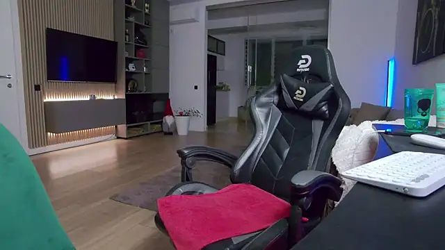 Snapshot of UbbeViking chatting on February 22, 2026, 11:17 pm UbbeViking online show from February 22, 2026, 11:17 pm