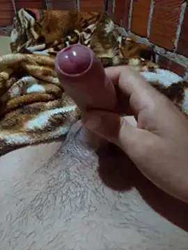 w31 online show from March 14, 2026, 2:28 am