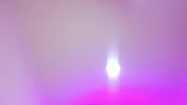 nalalye cruzz  online show from April 5, 2026, 3:02 am