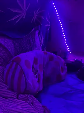 Snapshot of bugboy chatting on March 14, 2026, 3:56 am bugboy online show from March 14, 2026, 3:56 am