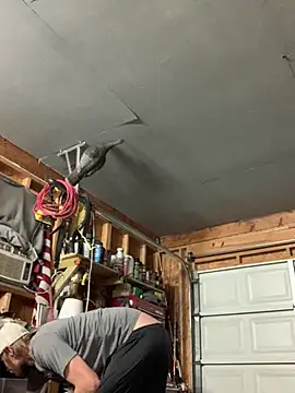 Midwestalpha online show from March 15, 2026, 7:37 am