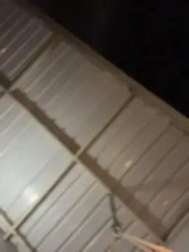 ZahaRoseee online show from March 26, 2026, 3:49 am