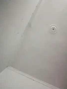 kevin613603 online show from November 7, 2025, 5:12 am