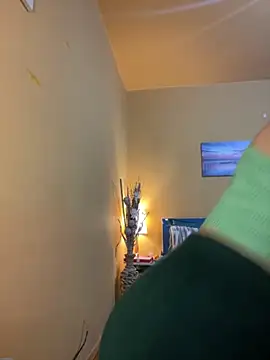 Tasty Shape online show from November 14, 2025, 3:37 pm