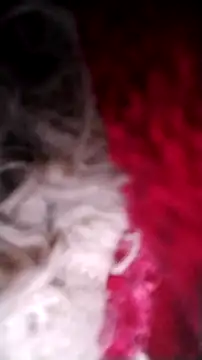 Bigcockmexi13 online show from October 12, 2025, 3:13 pm