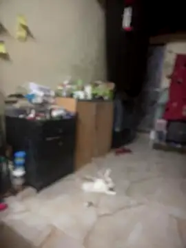 Snapshot of PARI_Hun chatting on September 26, 2025, 4:36 pm PARI Hun online show from September 26, 2025, 4:36 pm