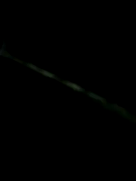 JObuddy661 online show from November 16, 2025, 8:30 am