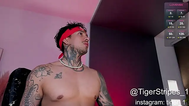 Snapshot of TigerStripes1_ chatting on January 16, 2025, 1:48 am TigerStripes1 online show from January 16, 2025, 1:48 am