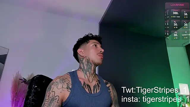 Snapshot of TigerStripes1_ chatting on March 20, 2025, 11:56 pm TigerStripes1 online show from March 20, 2025, 11:56 pm