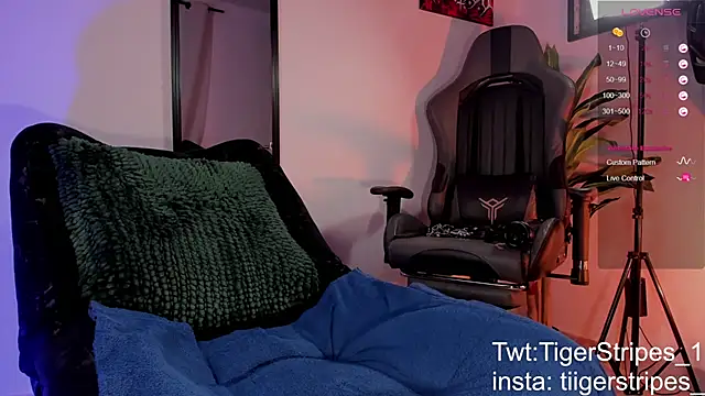 TigerStripes1  online show from March 28, 2026, 11:33 am