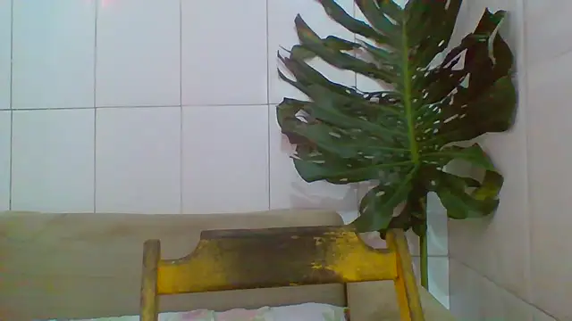 savanahottie online show from April 12, 2026, 1:25 pm