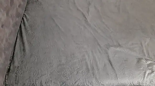 lili 70 online show from December 8, 2024, 2:19 pm