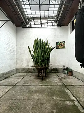 oliver price1 online show from October 16, 2025, 7:55 pm