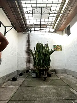 oliver price1 online show from September 16, 2025, 12:39 pm