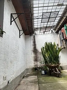 oliver price1 online show from September 23, 2025, 4:14 pm