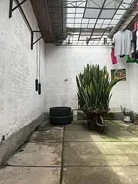 oliver price1 online show from October 25, 2025, 4:29 pm